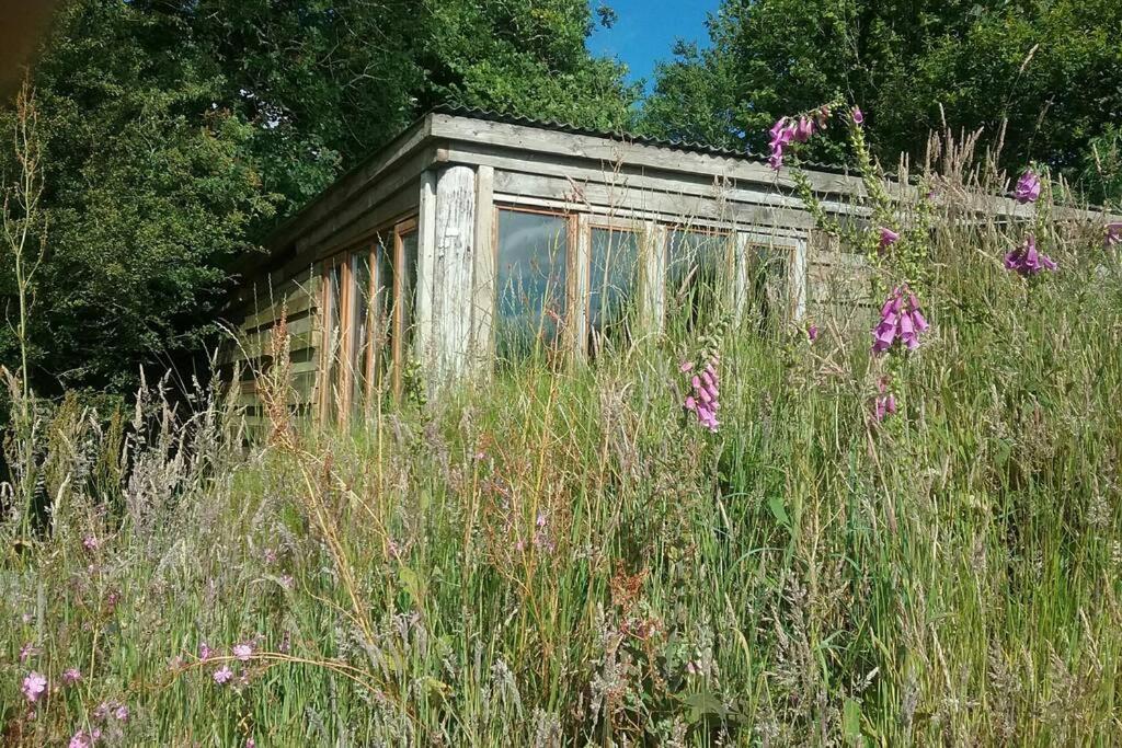 Foxesden, Unique Eco Cabin, Dartmoor Views South Brent Exterior photo